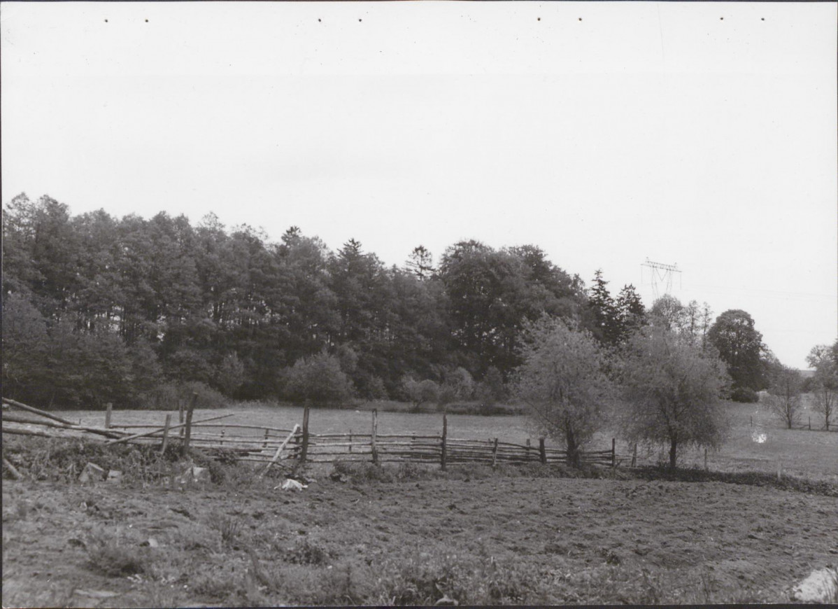 Ewidencja parkowa, skan nr 39