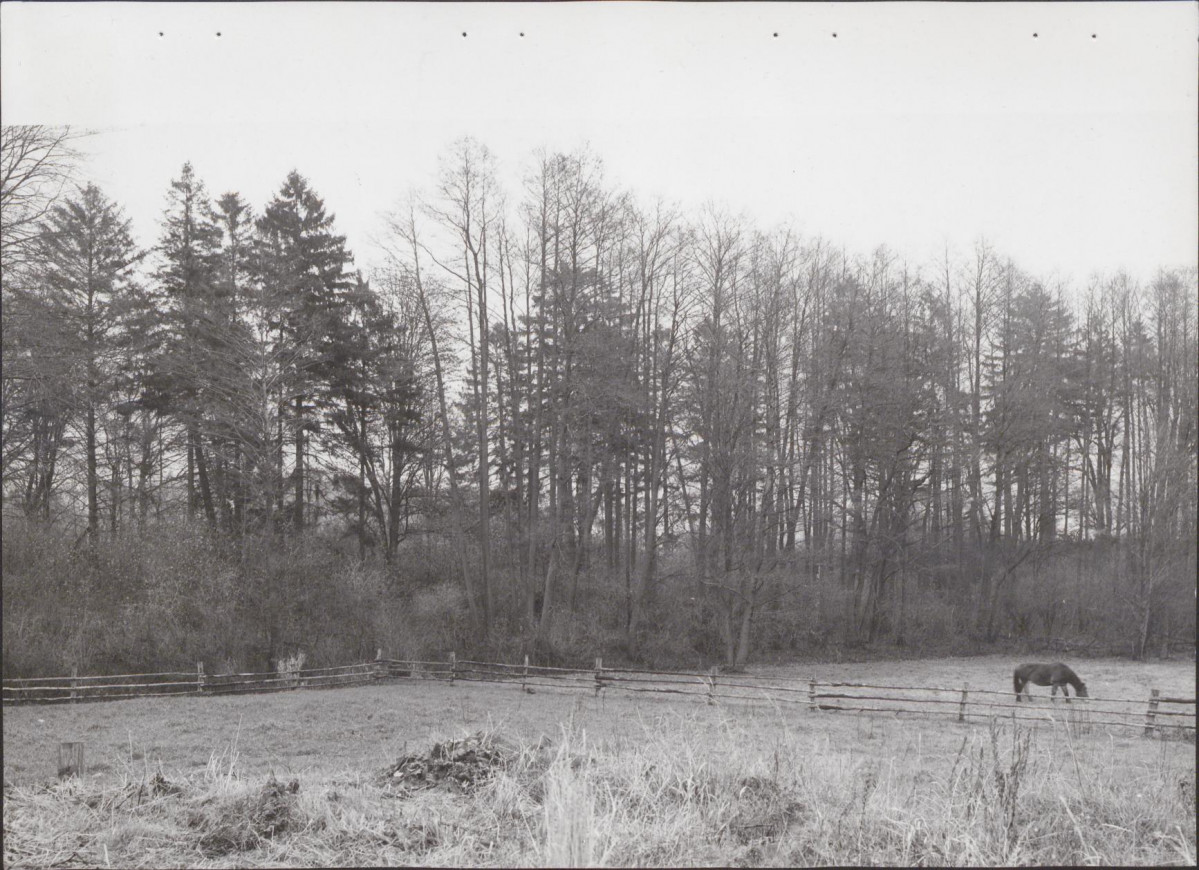 Ewidencja parkowa, skan nr 43