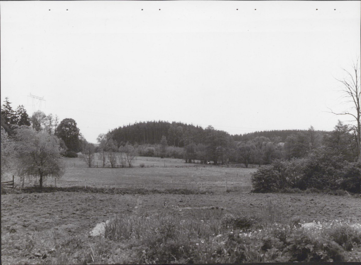 Ewidencja parkowa, skan nr 49