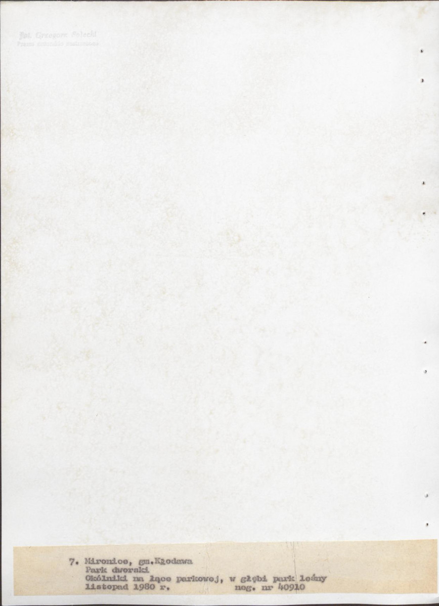 Ewidencja parkowa, skan nr 52