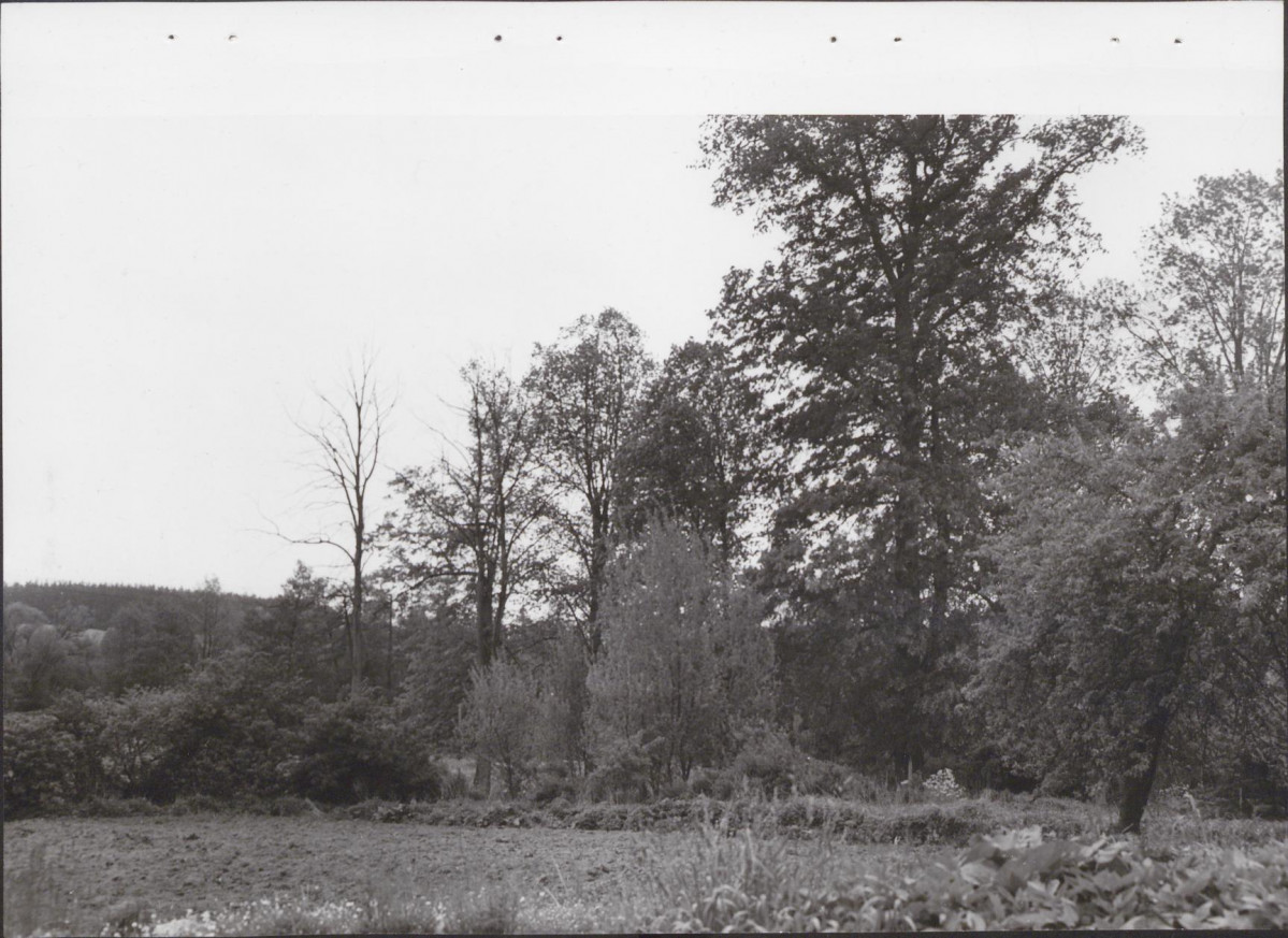 Ewidencja parkowa, skan nr 53