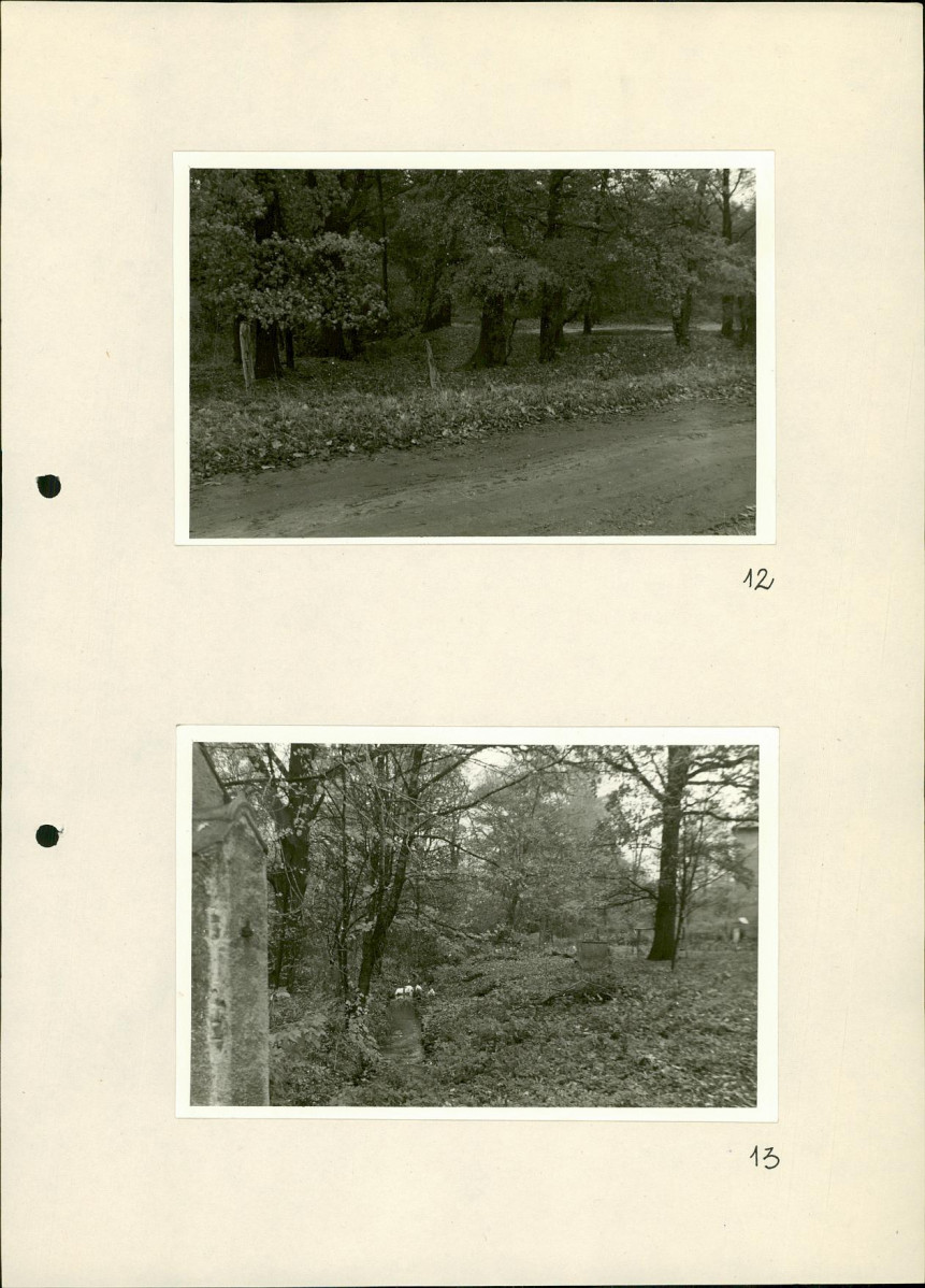 Ewidencja parkowa, skan nr 33