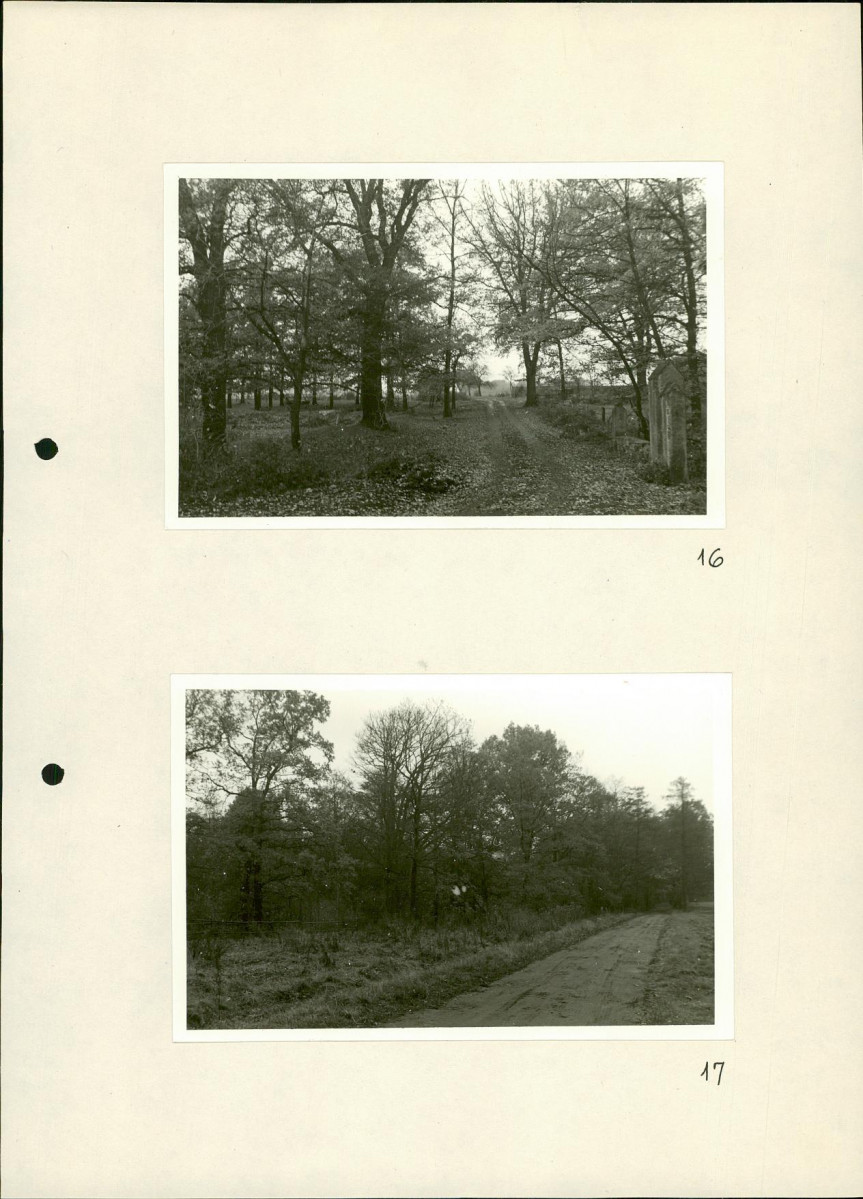 Ewidencja parkowa, skan nr 35