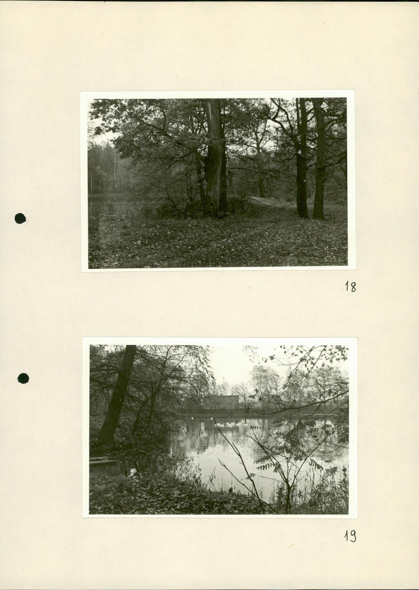 Ewidencja parkowa, skan nr 36