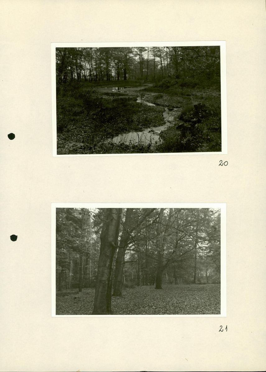 Ewidencja parkowa, skan nr 37