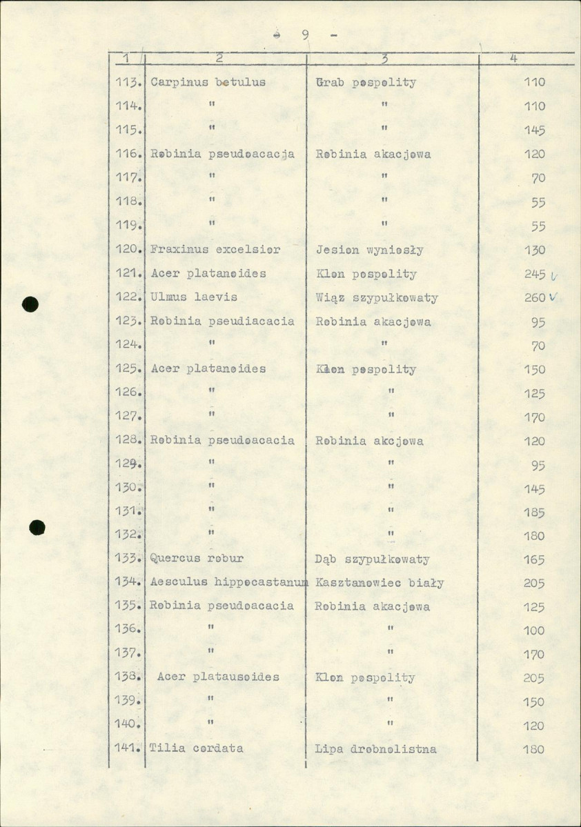 Ewidencja parkowa, skan nr 17