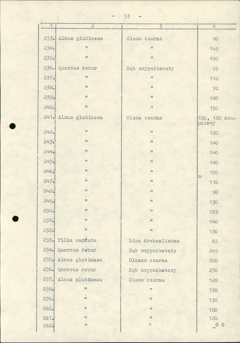 Ewidencja parkowa, skan nr 21