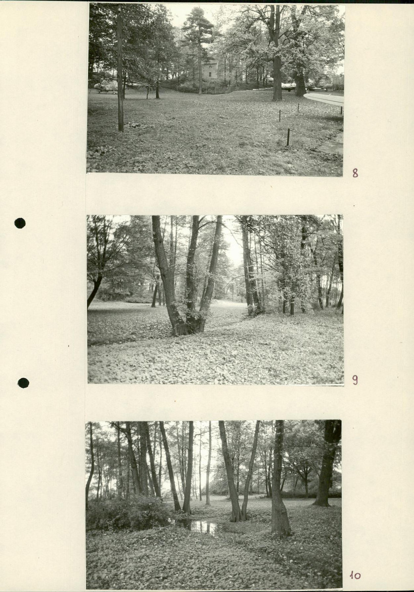 Ewidencja parkowa, skan nr 36
