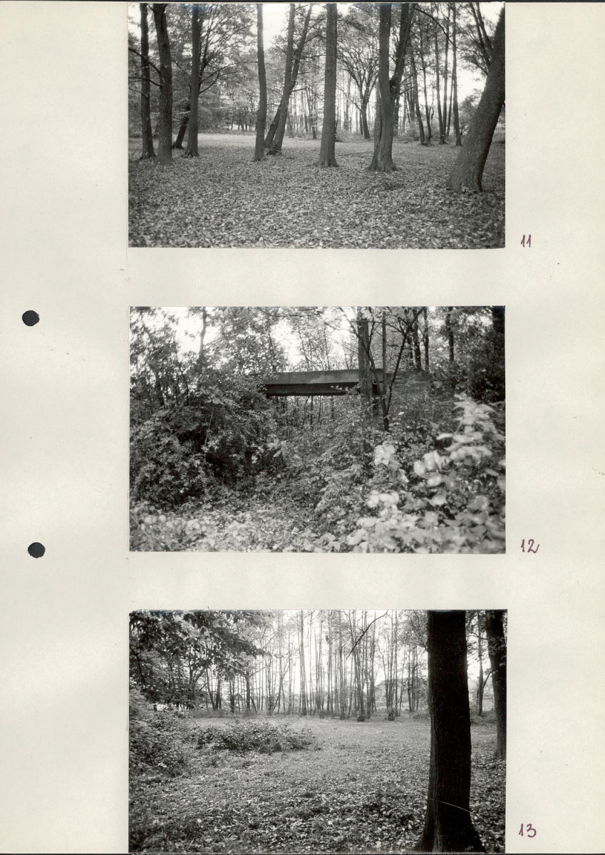 Ewidencja parkowa, skan nr 37
