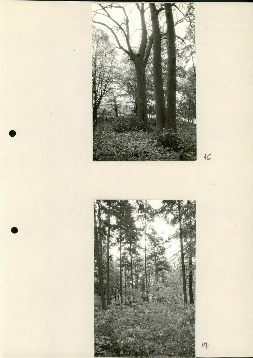 Ewidencja parkowa, skan nr 39