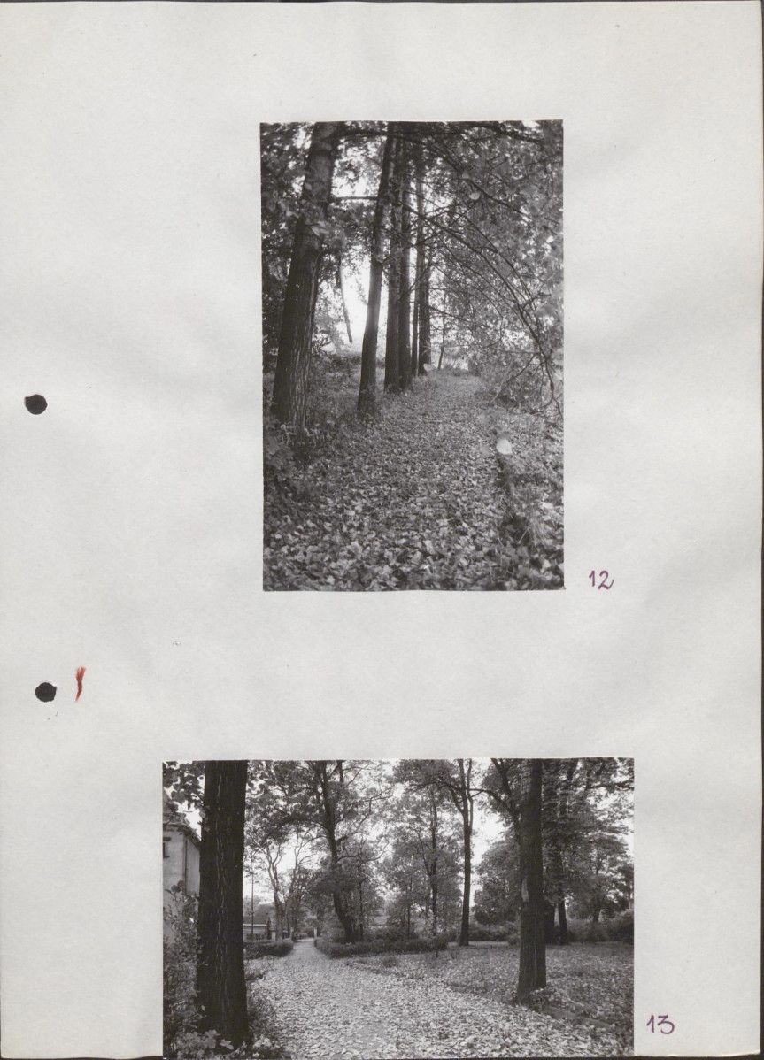 Ewidencja parkowa, skan nr 30