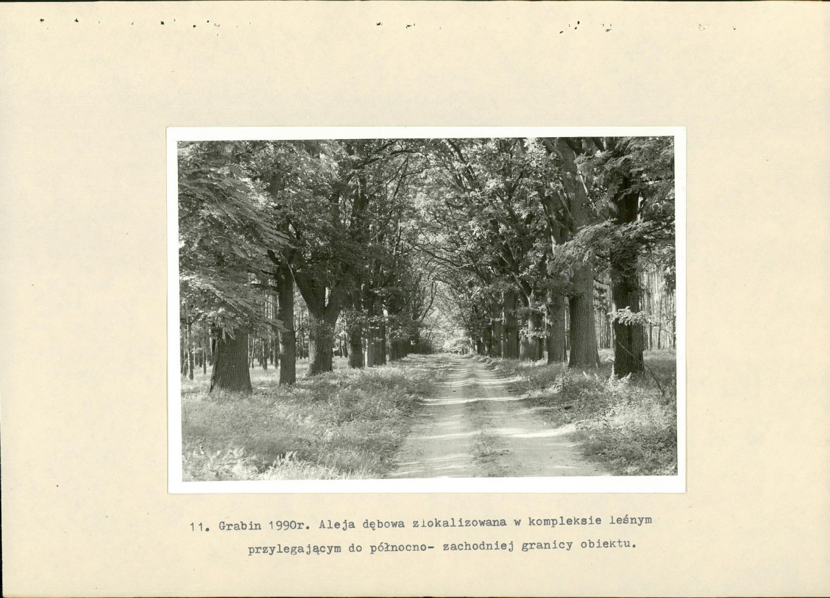 Ewidencja parkowa, skan nr 30
