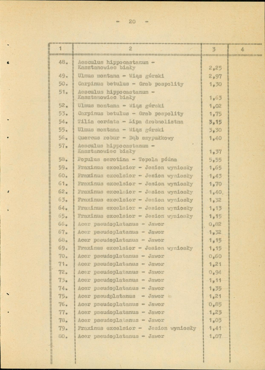 Ewidencja parkowa, skan nr 26