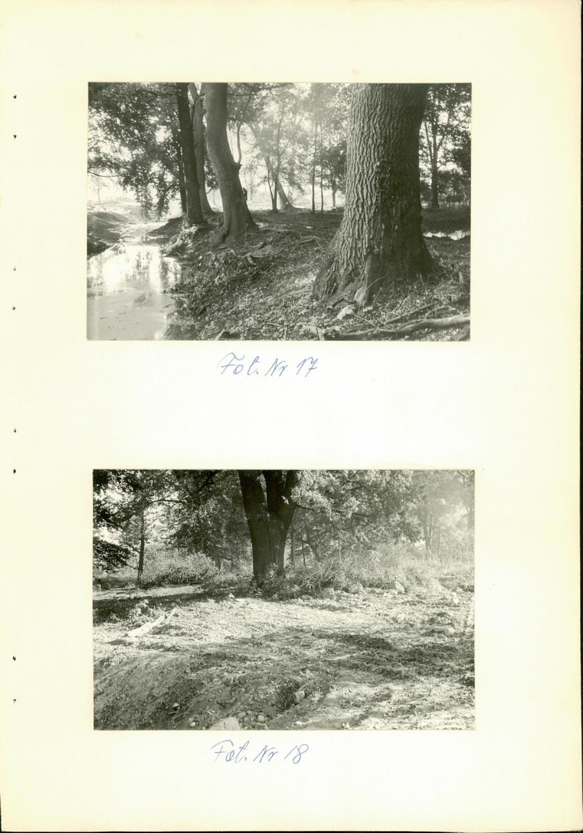 Ewidencja parkowa, skan nr 42