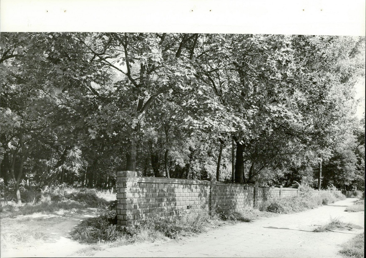 Ewidencja parkowa, skan nr 15