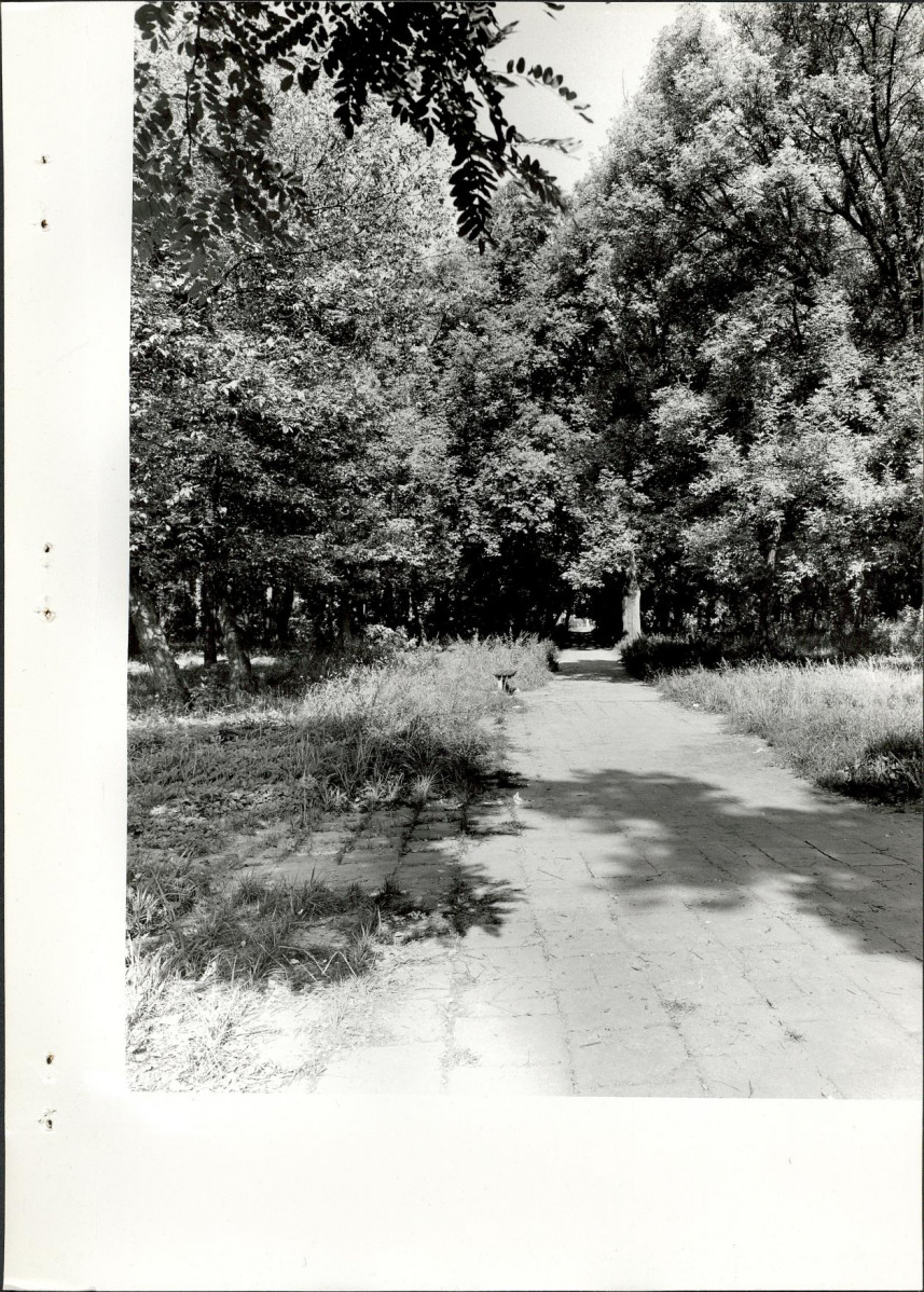 Ewidencja parkowa, skan nr 19