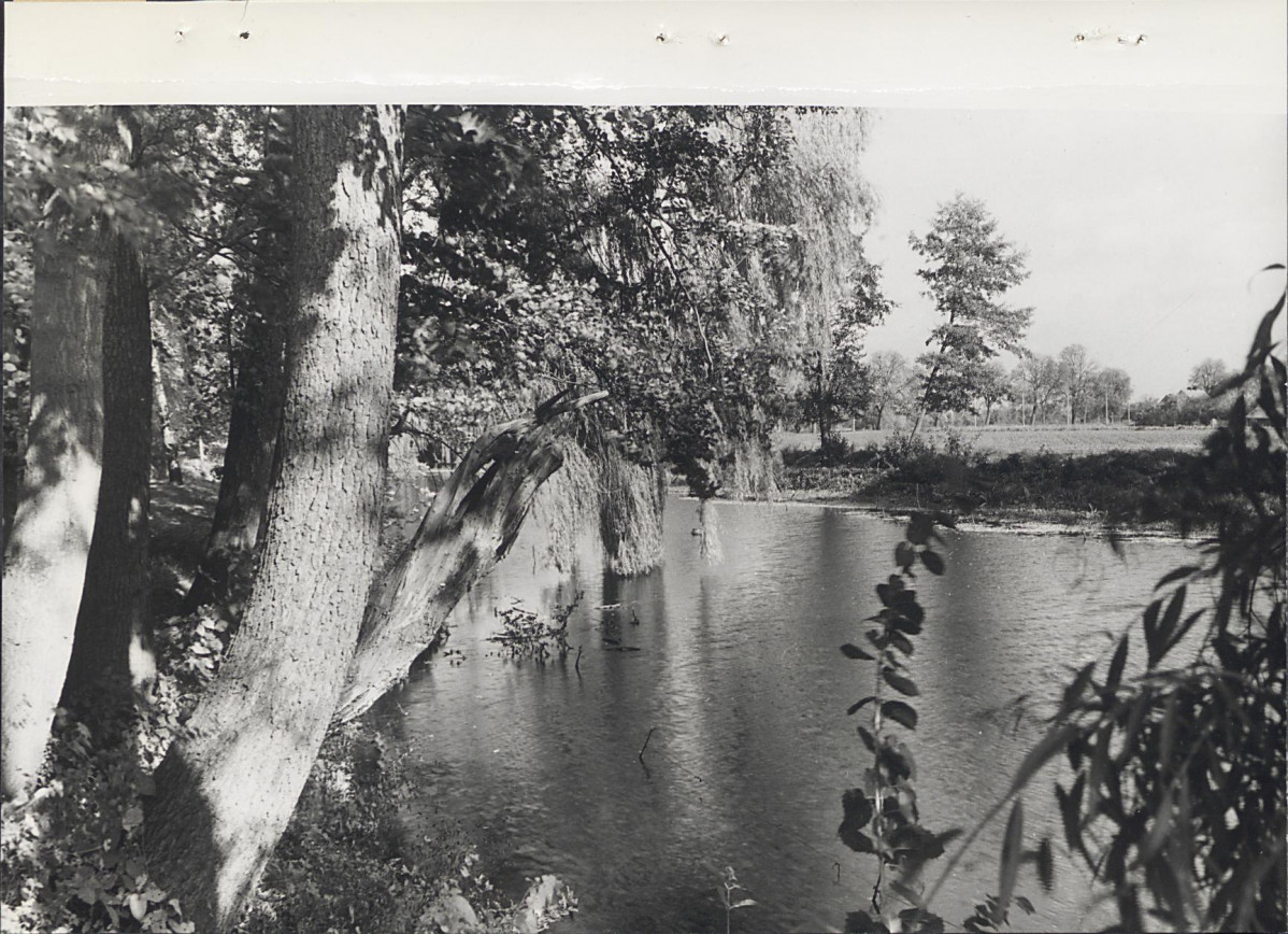 Ewidencja parkowa, skan nr 23