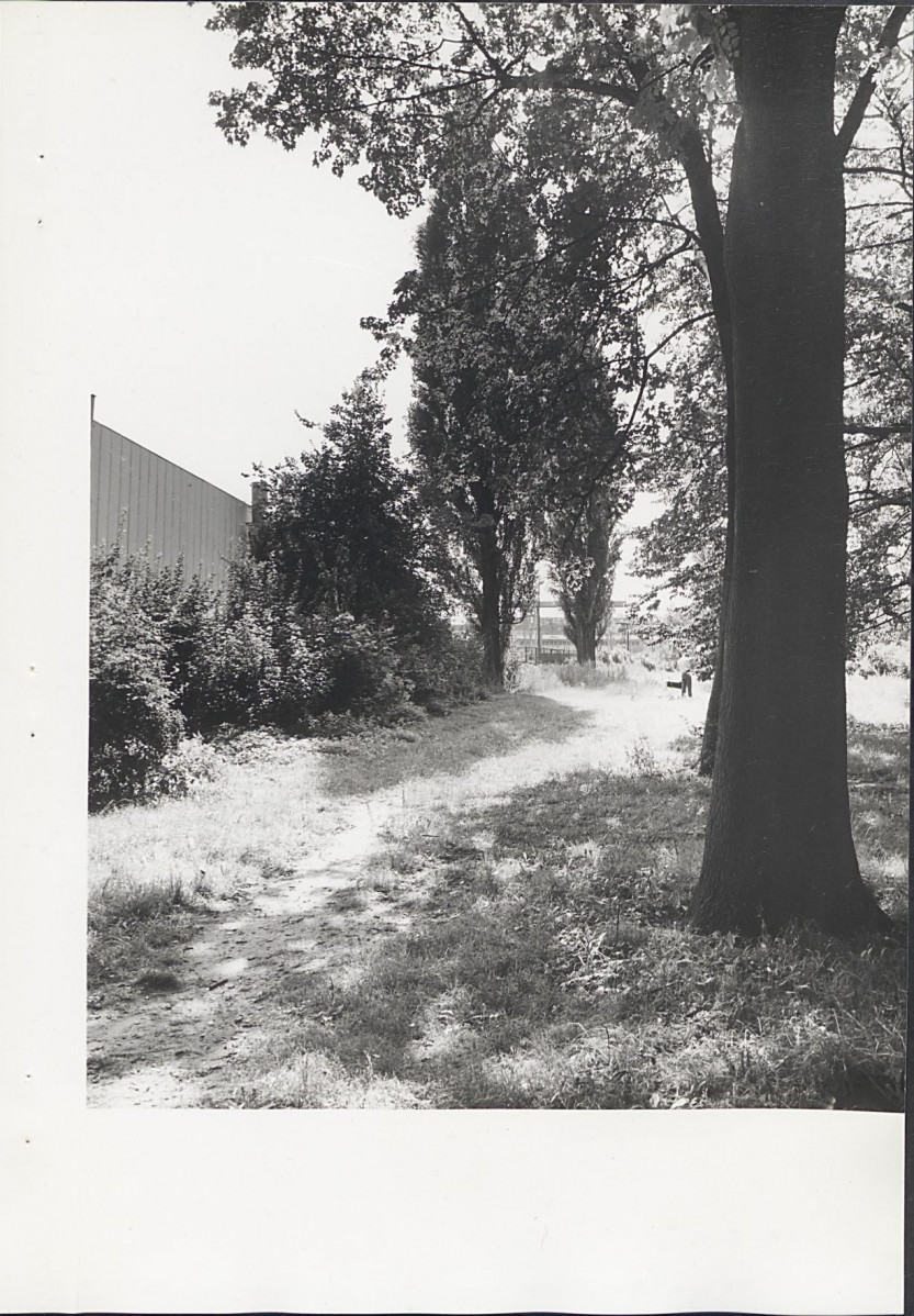 Ewidencja parkowa, skan nr 24