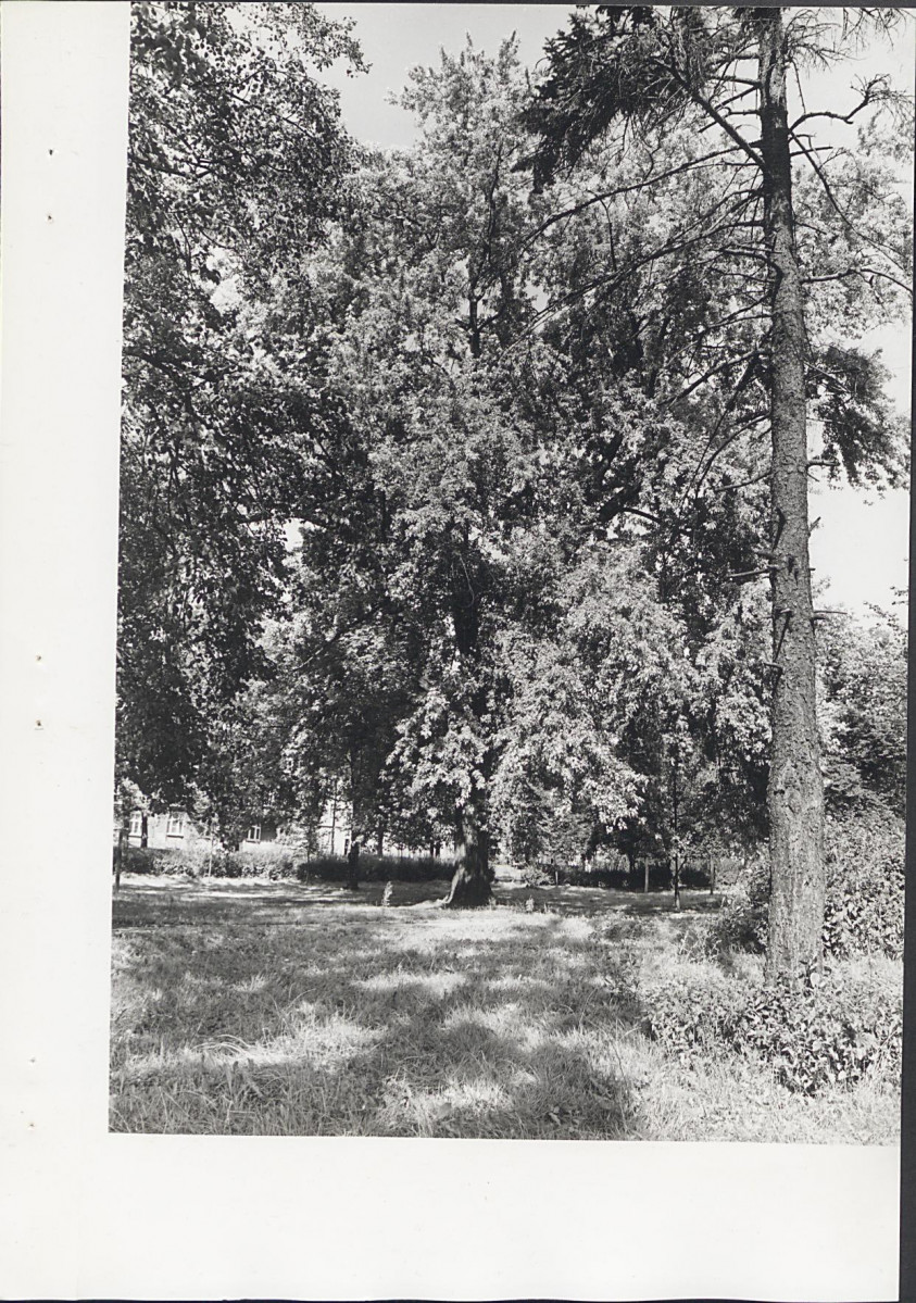 Ewidencja parkowa, skan nr 26