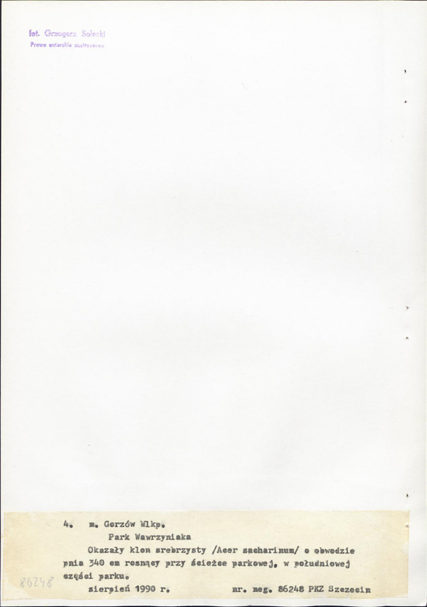 Ewidencja parkowa, skan nr 27