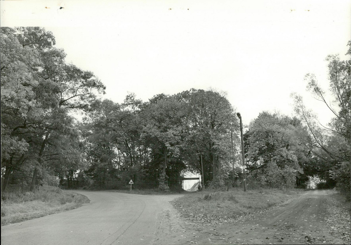 Ewidencja parkowa, skan nr 15