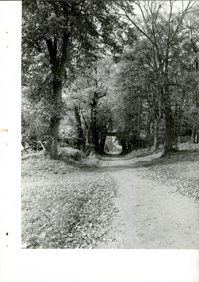 Ewidencja parkowa, skan nr 17