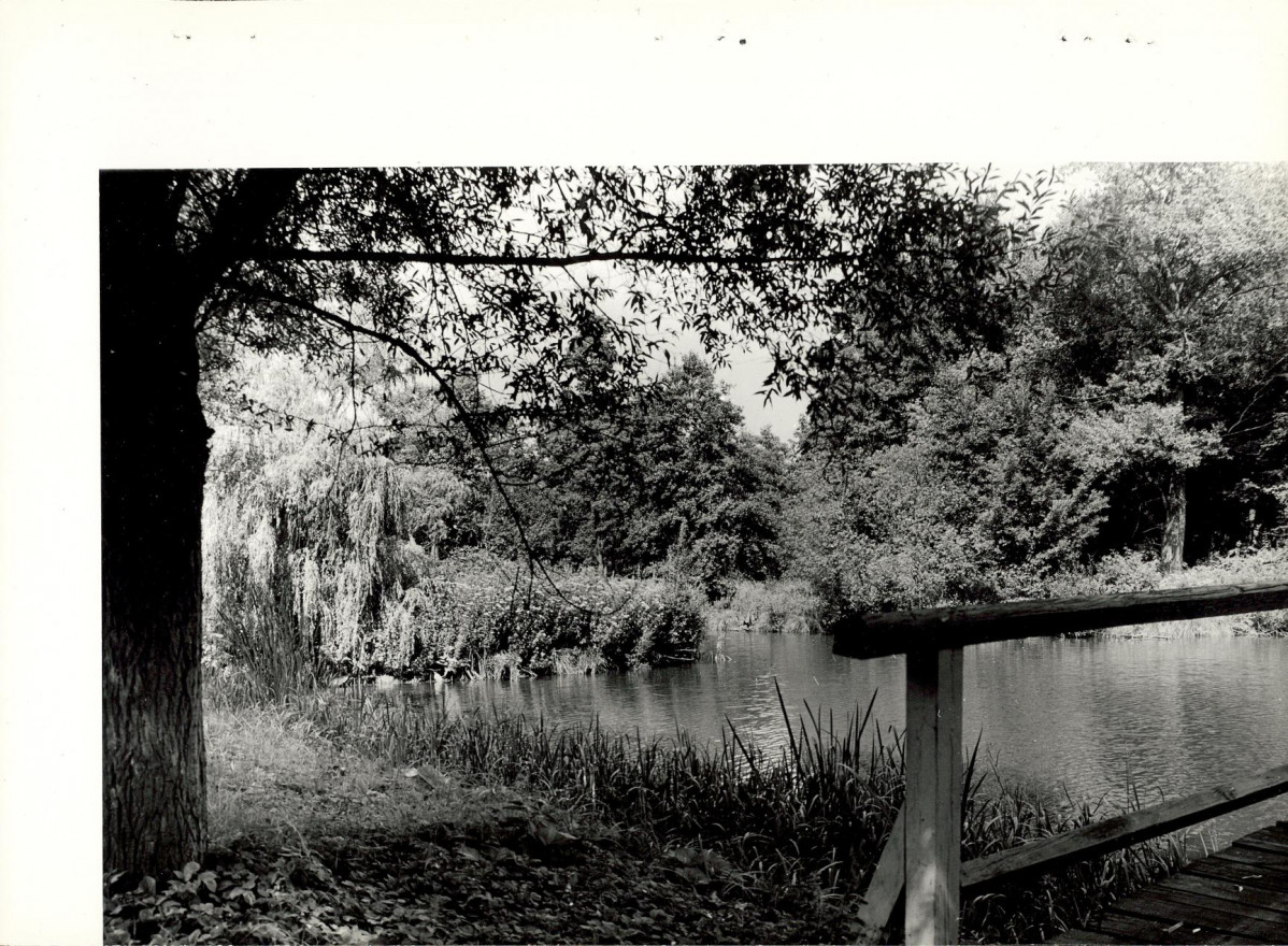 Ewidencja parkowa, skan nr 26