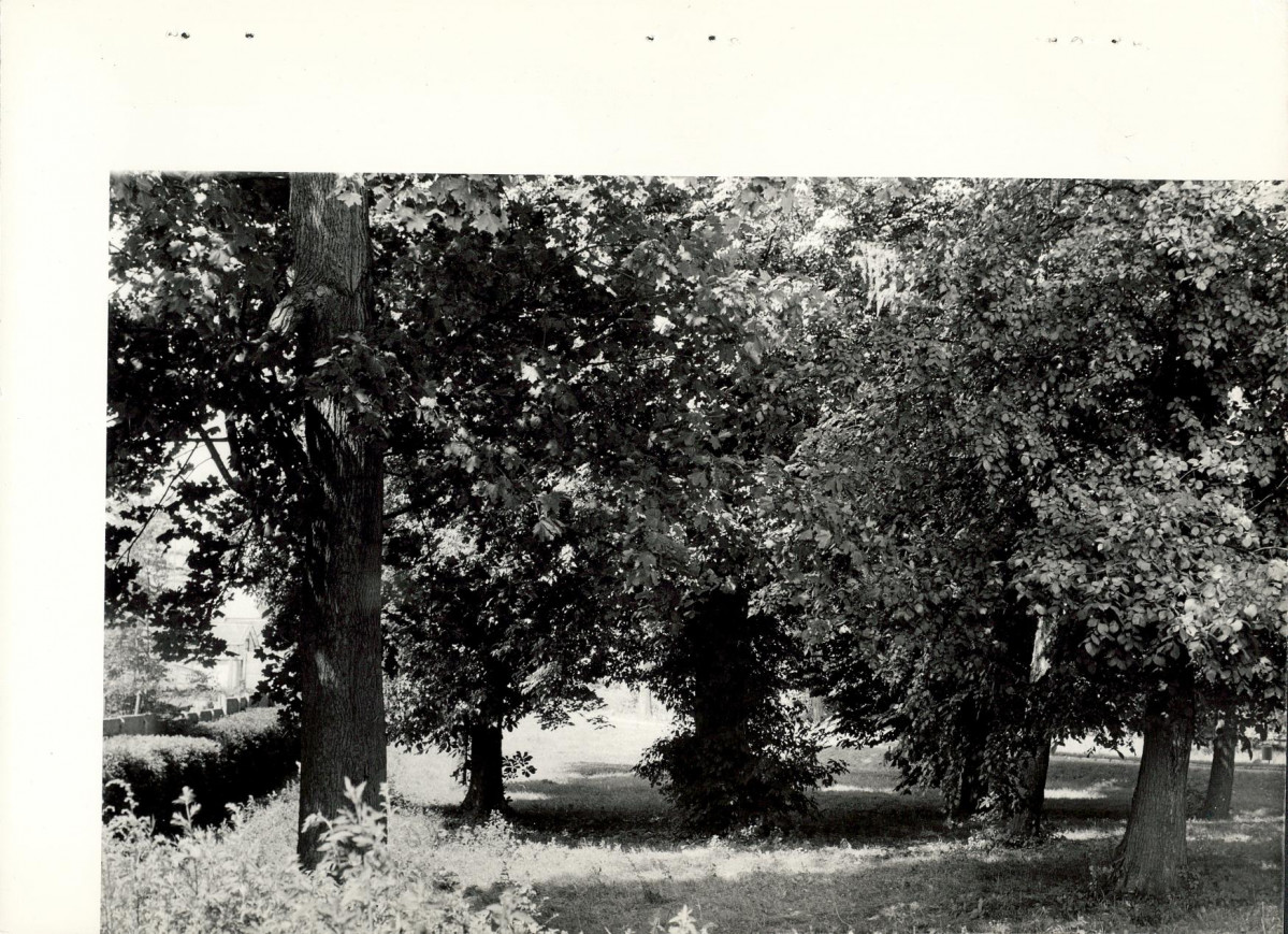 Ewidencja parkowa, skan nr 30