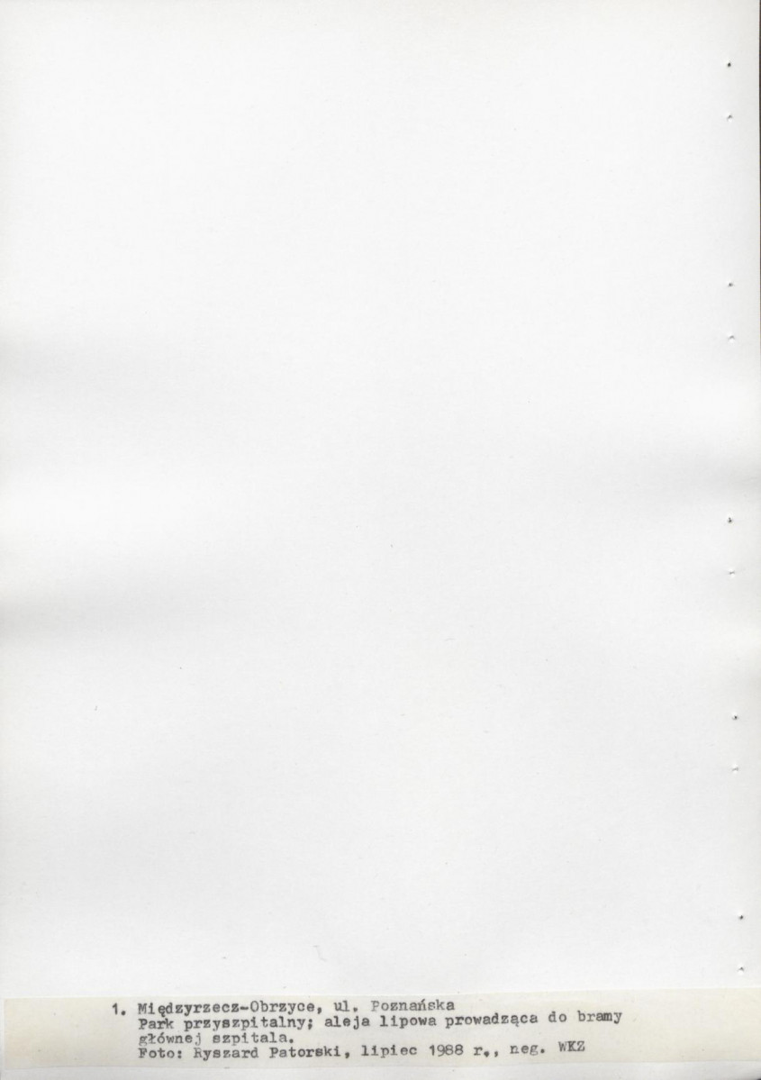 Ewidencja parkowa, skan nr 28
