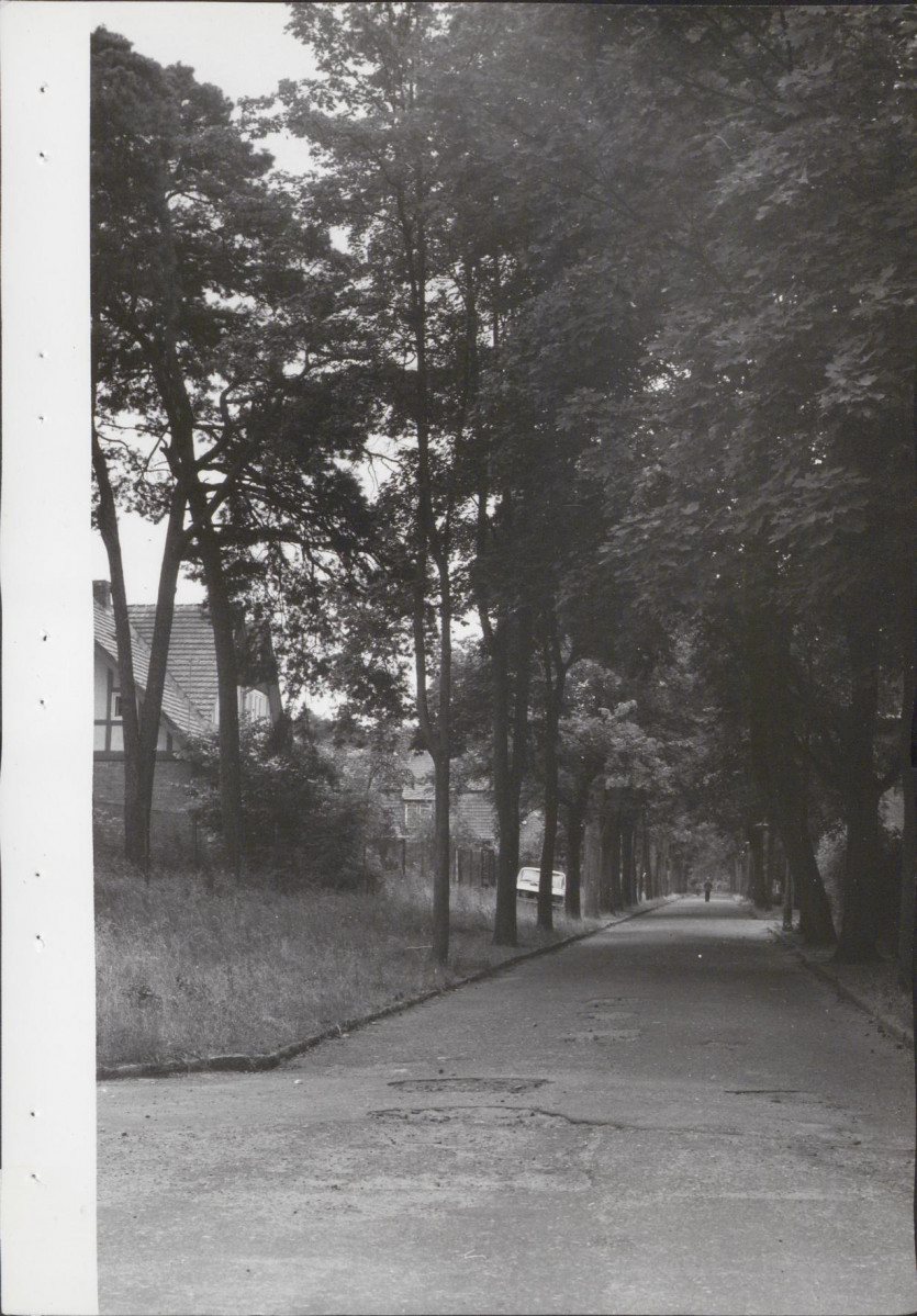 Ewidencja parkowa, skan nr 41
