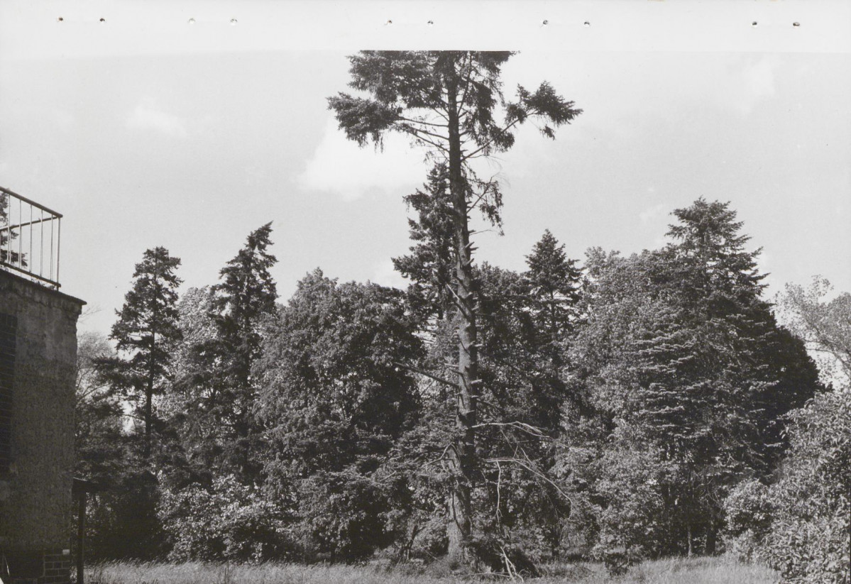Ewidencja parkowa, skan nr 20