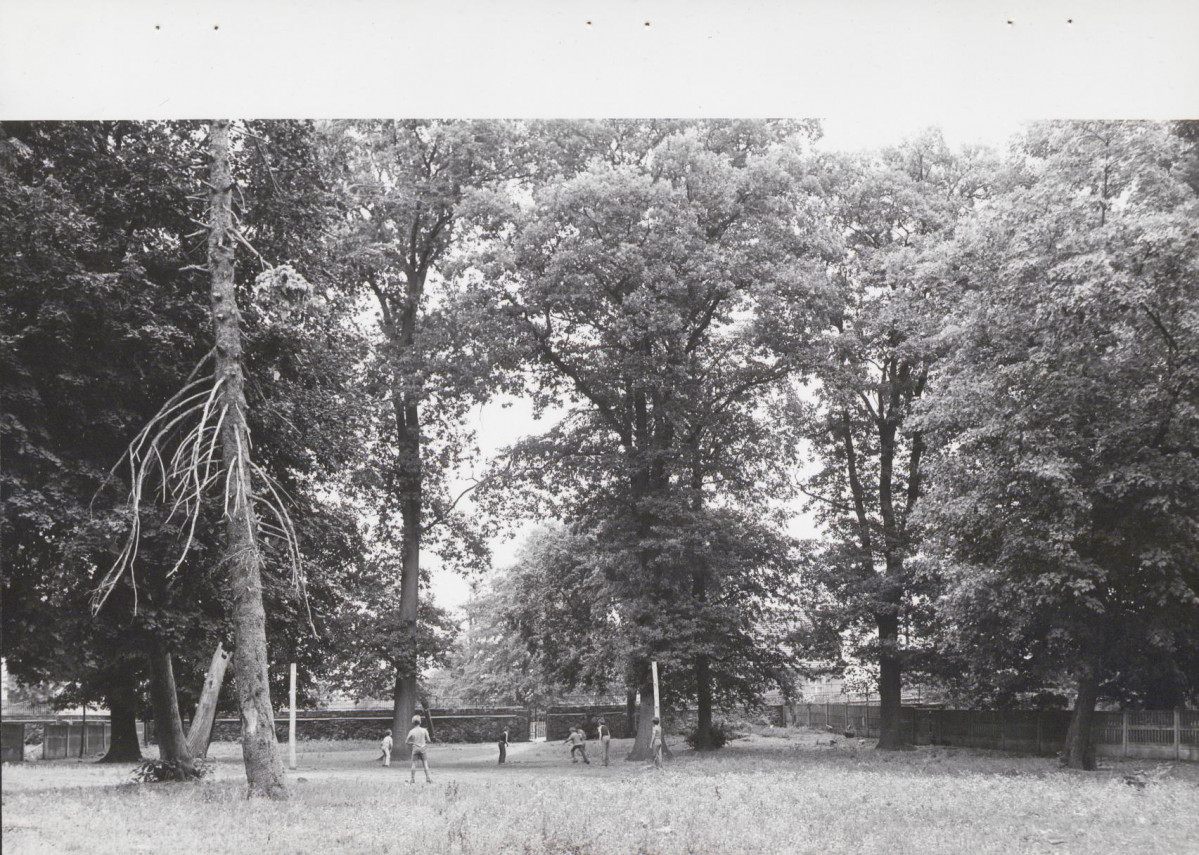Ewidencja parkowa, skan nr 21