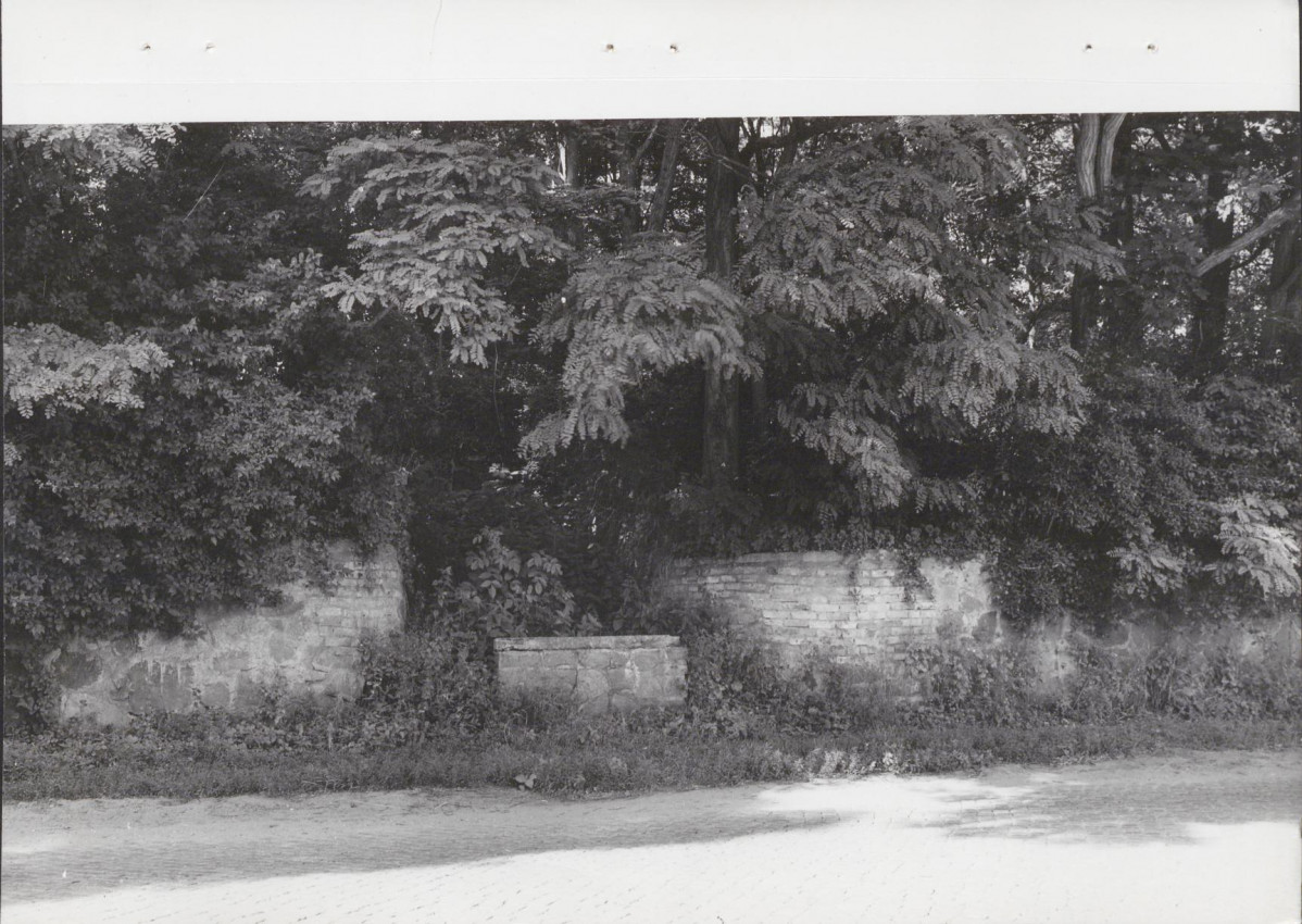 Ewidencja parkowa, skan nr 25