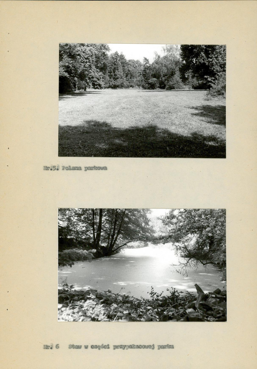 Ewidencja parkowa, skan nr 29