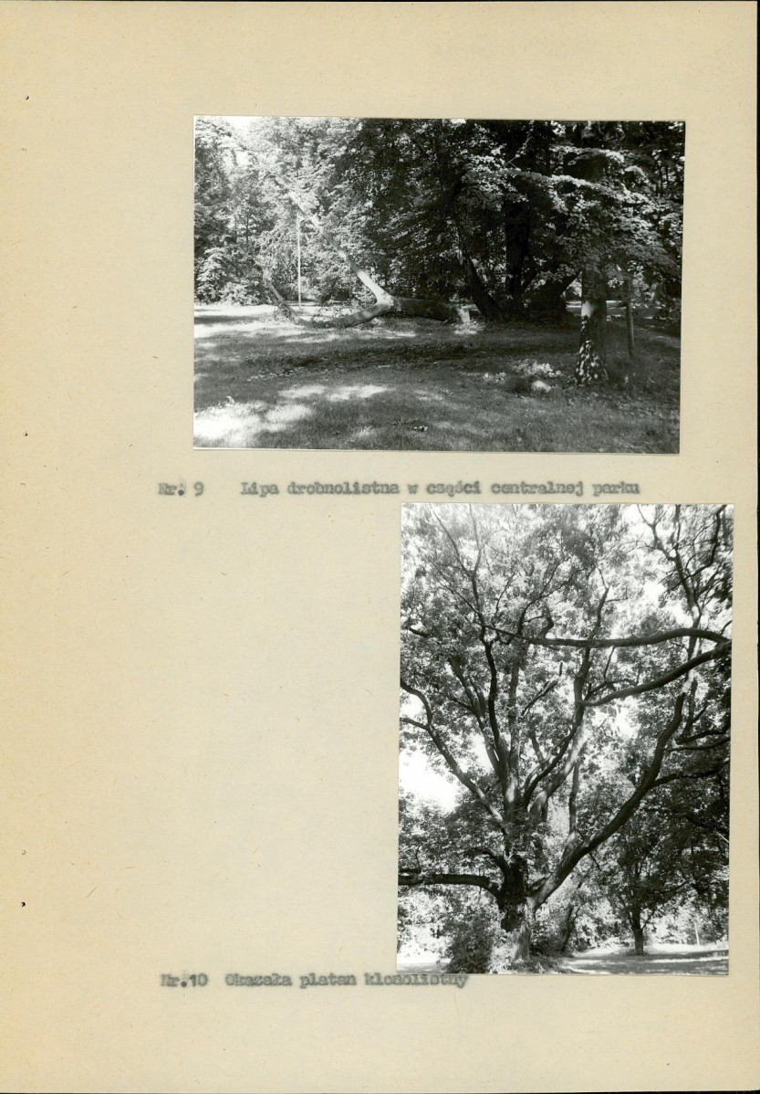 Ewidencja parkowa, skan nr 31