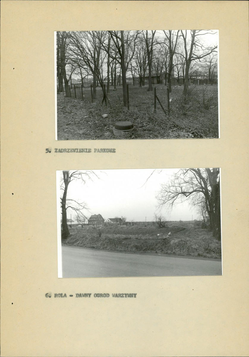 Ewidencja parkowa, skan nr 19