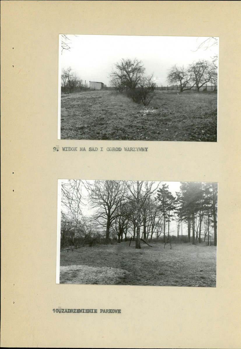 Ewidencja parkowa, skan nr 21