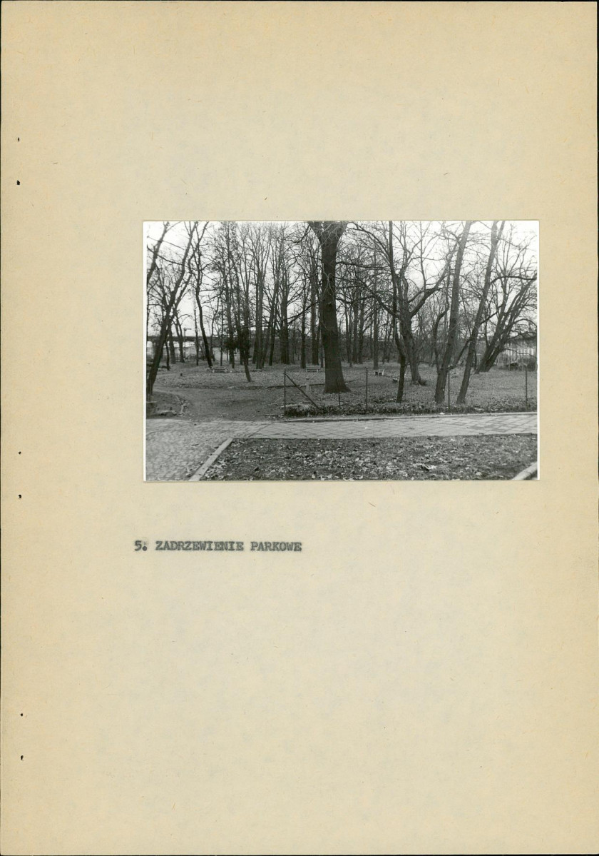 Ewidencja parkowa, skan nr 20
