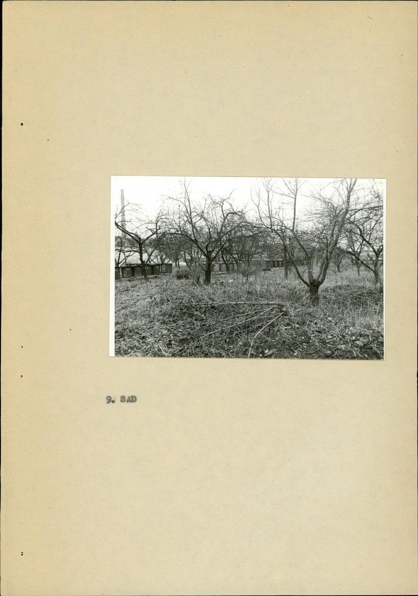 Ewidencja parkowa, skan nr 22