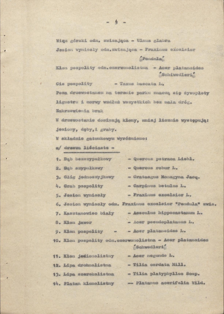 Ewidencja parkowa, skan nr 10