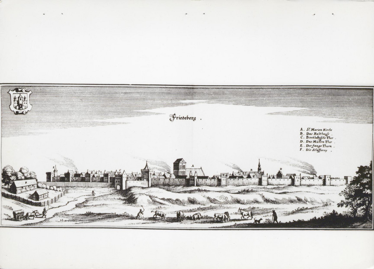 Ewidencja parkowa, skan nr 21