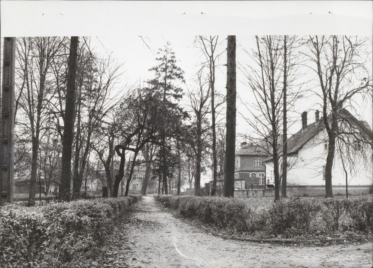 Ewidencja parkowa, skan nr 24