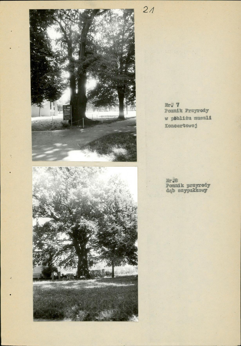 Ewidencja parkowa, skan nr 29