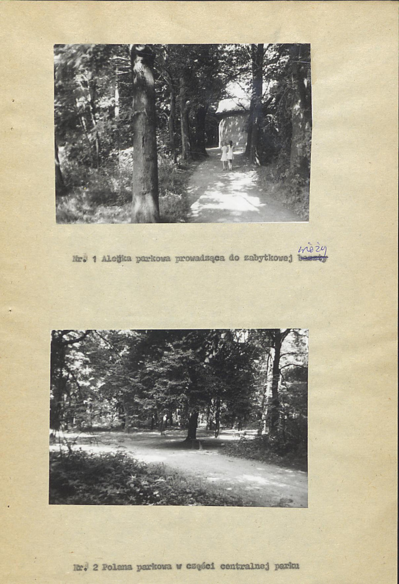 Ewidencja parkowa, skan nr 24