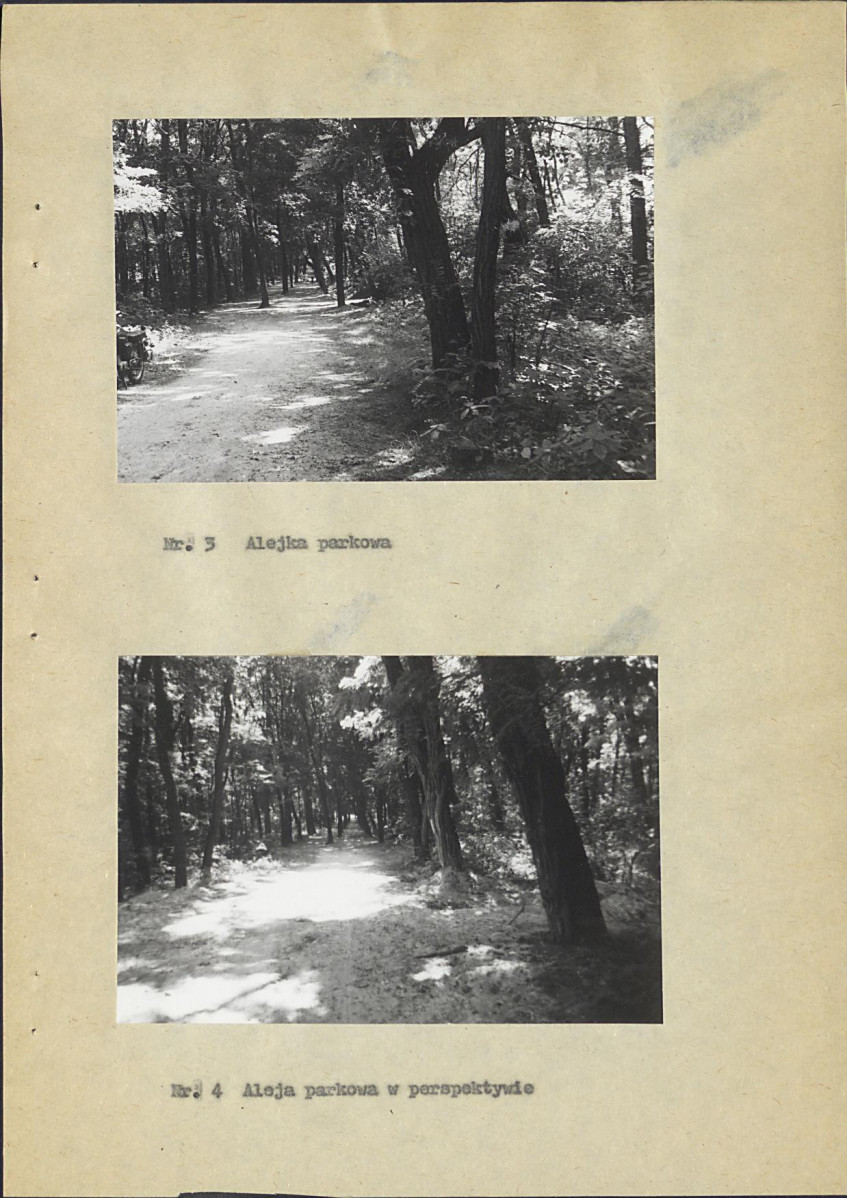 Ewidencja parkowa, skan nr 25