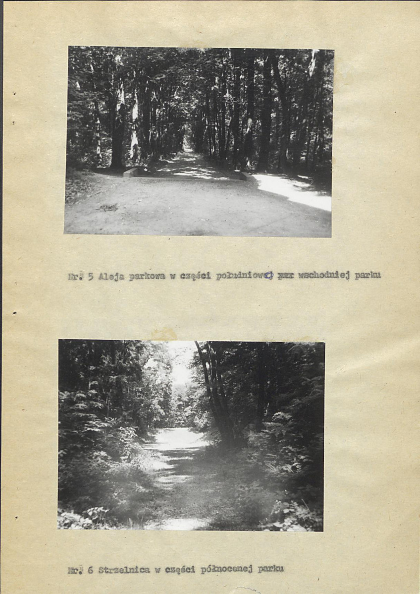 Ewidencja parkowa, skan nr 26