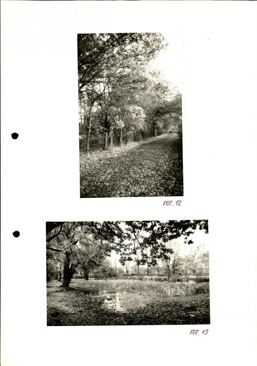 Ewidencja parkowa, skan nr 36