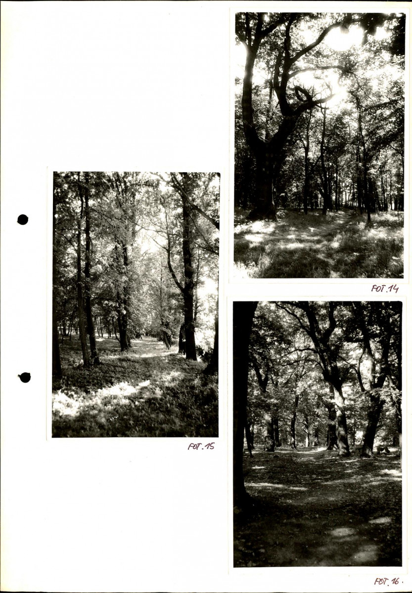 Ewidencja parkowa, skan nr 43