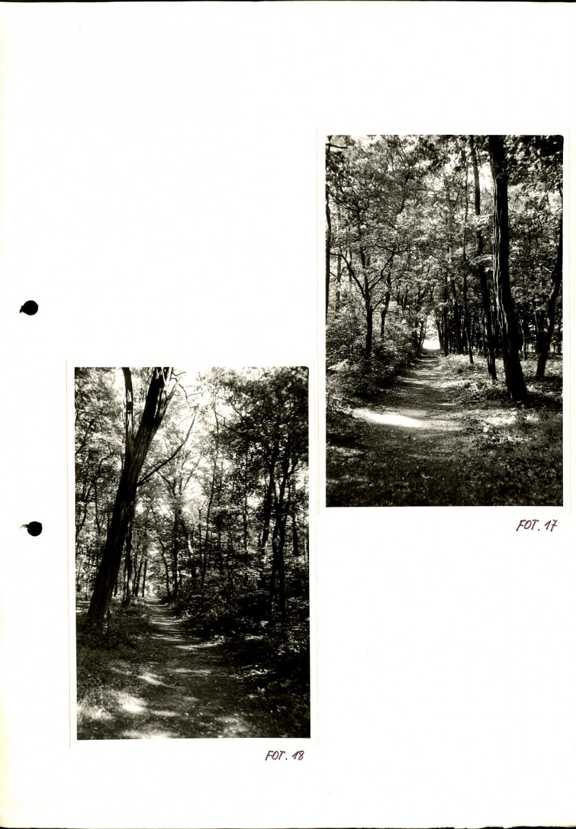 Ewidencja parkowa, skan nr 44