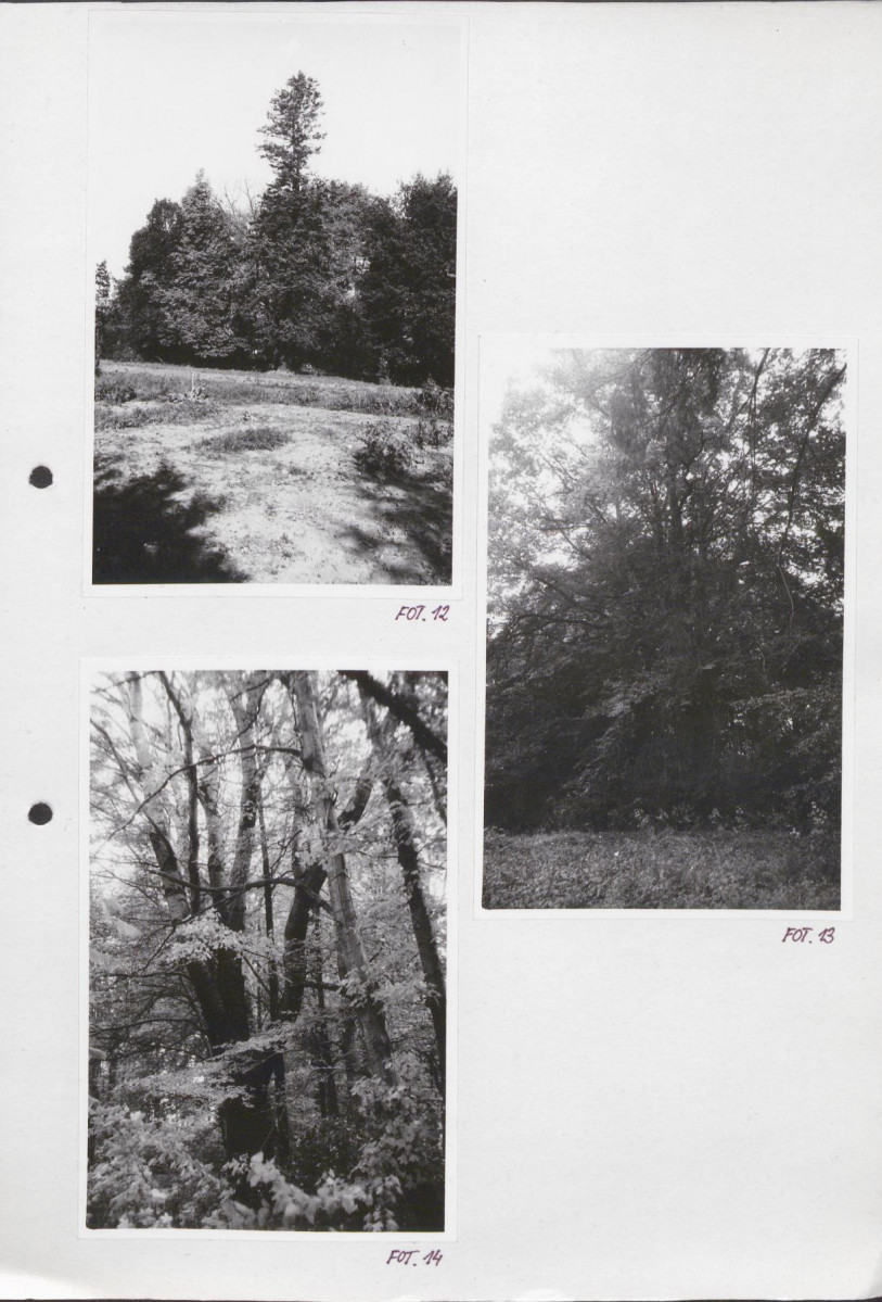 Ewidencja parkowa, skan nr 39